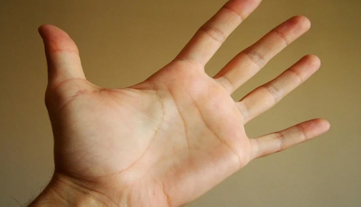 astrology tips,astrology tips in hindi,palmistry,raj yoga in life