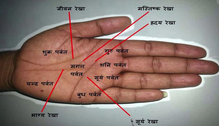 astrology tips,astrology tips in hindi,palmistry,own house sign