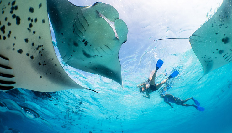 10 tourist attractions in maldives,must-visit places in maldives,top maldives tourist spots,popular islands in maldives,best beaches maldives,maldives honeymoon destinations,male atoll maldives,maldives snorkeling spots,vaadhoo island bioluminescence,rangali island luxury resorts,hanifaru bay marine life.