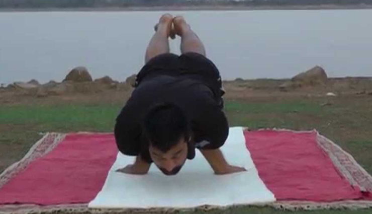hansasana,yoga tips,yoga benefits