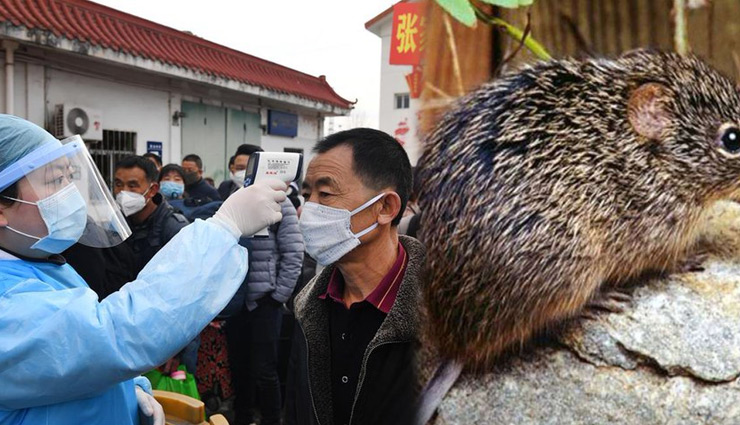 Coronavirus के बाद अब चीन पर इस वायरस ने किया हमला, एक व्यक्ति की मौत