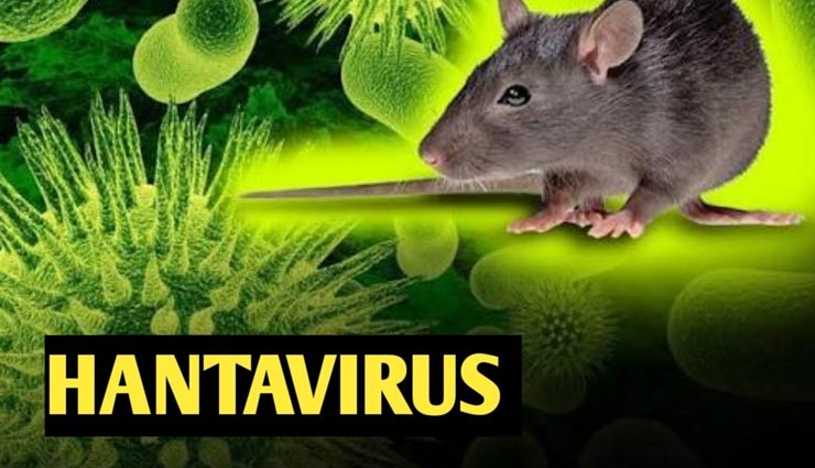 कोरोना के साथ ही सताने लगा हंटा वायरस का डर, जानें लक्षण और बचाव के उपाय 