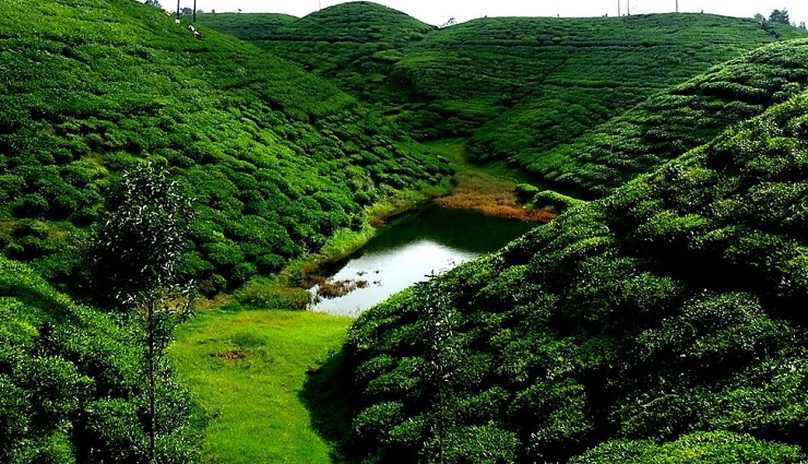 tourist attractions in darjeeling,places to visit in darjeeling,darjeeling sightseeing spots,famous landmarks in darjeeling,top tourist destinations in darjeeling,cultural heritage sites in darjeeling,darjeeling himalayan railway,tea gardens in darjeeling,darjeeling mall road,tiger hill sunrise view