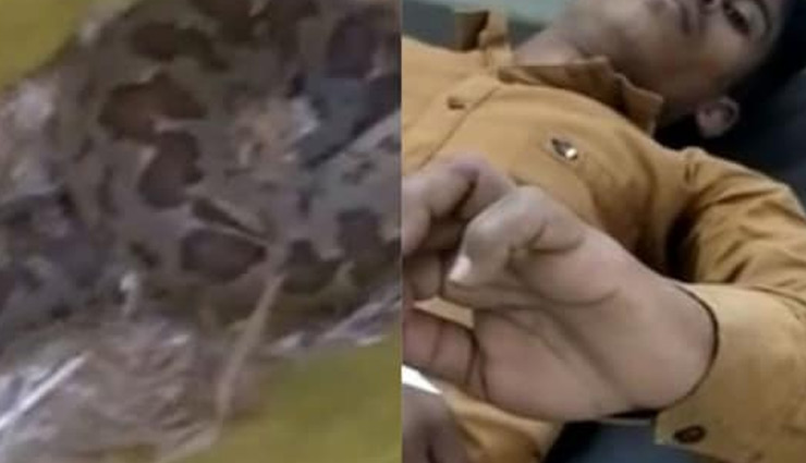 UP: अजगर को बोरी में बंद कर अस्पताल पहुंचा युवक, डॉक्टरों से बोला - इसने मुझे काट लिया