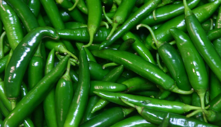 hari mirch pakoda,hari mirch pakoda ingredients,hari mirch pakoda recipe,hari mirch pakoda tasty,hari mirch pakoda delicious,hari mirch pakoda monsoon,hari mirch pakoda rainy season,green chilli