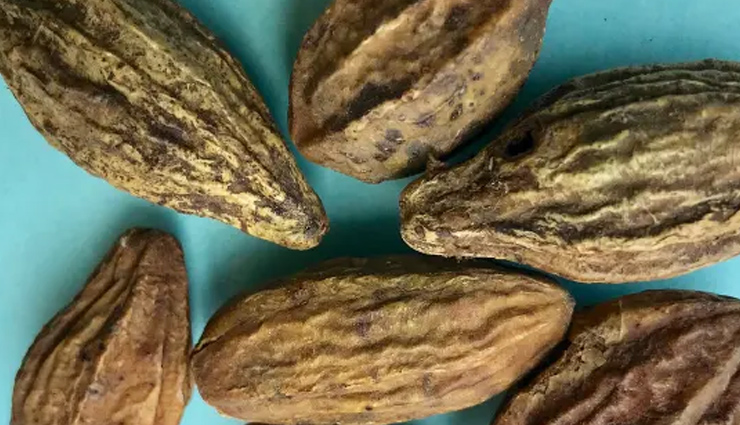 haritaki,health benefits of haritaki,herbs benefits,Health tips,fitness tips