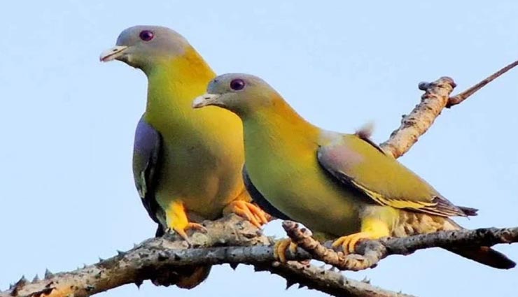 बेहद हैरान करने वाले हैं दुनिया के ये रोचक तथ्य, शायद ही जानते होंगे आप
weird news,weird information,interesting facts,shocking facts,facts of world