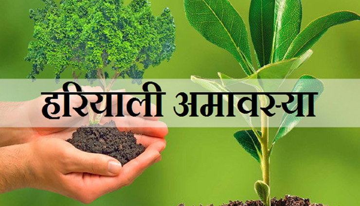 हरियाली अमावस्या 2020 : वृक्षों में विराजते हैं देवगण, करें ये काम