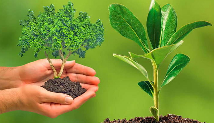 hariyali amavyasya,astrology tips,sawan astro,sawan,sawan 2018