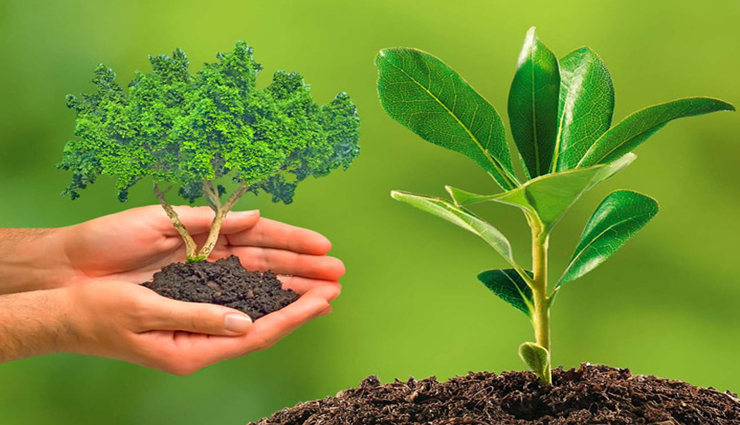 astrology tips,astrology tips in hindi,hariyali amavasya 2022,lord shiva