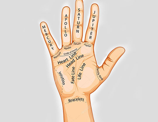 हस्तरेखा से जाने आपकी किस्मत में सरकारी नौकरी के योग है की नहीं