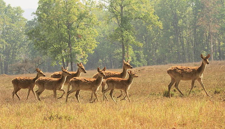 tourist places in meerut,meerut attractions,best places to visit in meerut,historical sites in meerut,augarnath temple meerut,st. johns church meerut,gandhi bagh meerut,shahid smarak meerut,suraj kund park meerut,jama masjid meerut,hastinapur wildlife sanctuary,parikshitgarh fort,draupadi ki rasoi,sardhana church meerut,meerut travel guide