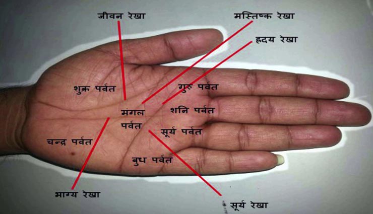 astrology tips,astrology tips in hindi,palmistry,richness in life