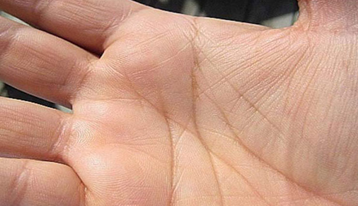 astrology tips,hastrekha tips,hastrekha indicates wealth come