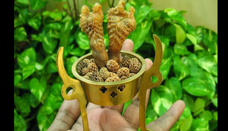 दिवाली स्पेशल : इन 7 चीजों का आगमन बनाता है आपको धनवान, आज ही लेकर आए