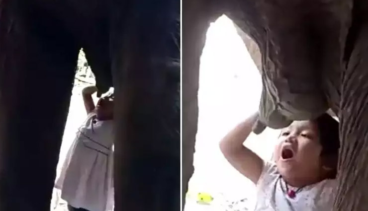 हथिनी के थन से दूध पीने की कोशिश कर रही थी बच्ची, वीडियो इंटरनेट पर छाया