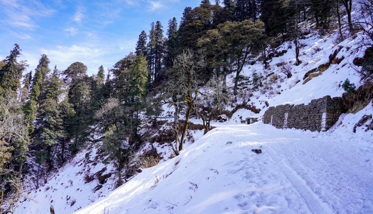 trekking places near shimla,best trekking spots in shimla,shimla trekking trails,top treks near shimla,adventure treks in shimla,easy treks near shimla for beginners,challenging treks near shimla,scenic hiking spots near shimla,famous trekking destinations near shimla,best trekking routes in himachal near shimla