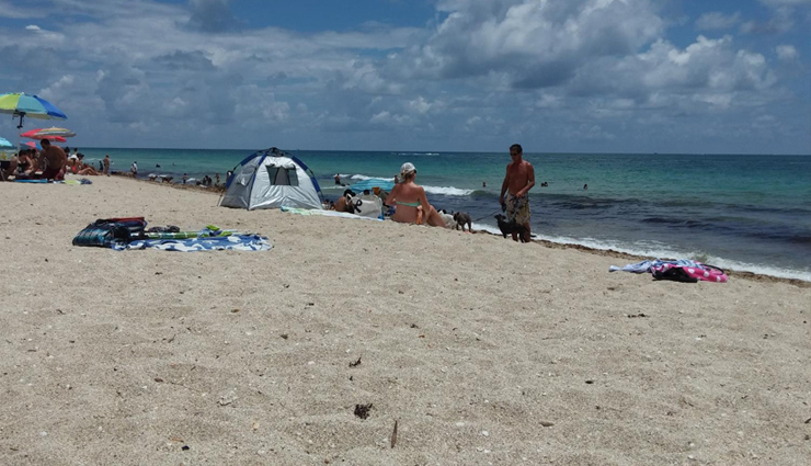 miami,amazing beaches in miami,miami beaches,amazing places to visit in miami,foreign destinations