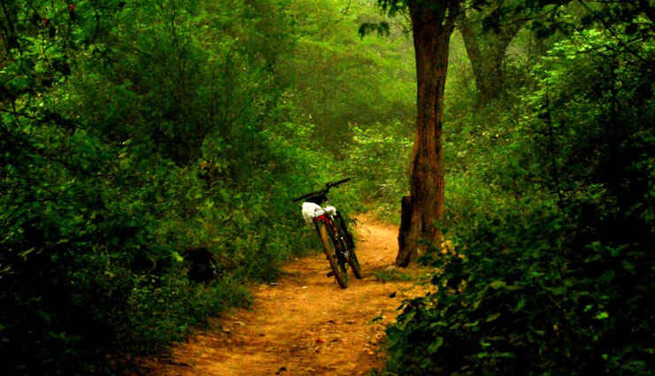 haunted places in delhi,delhi,haunted places,sanjay van,feroz shah kotla fort,jamali kamali tomb & mosque,bhuli bhatiyari mahal,house no w 3,greater kailash 1,delhi mutiny house,kashmere gate