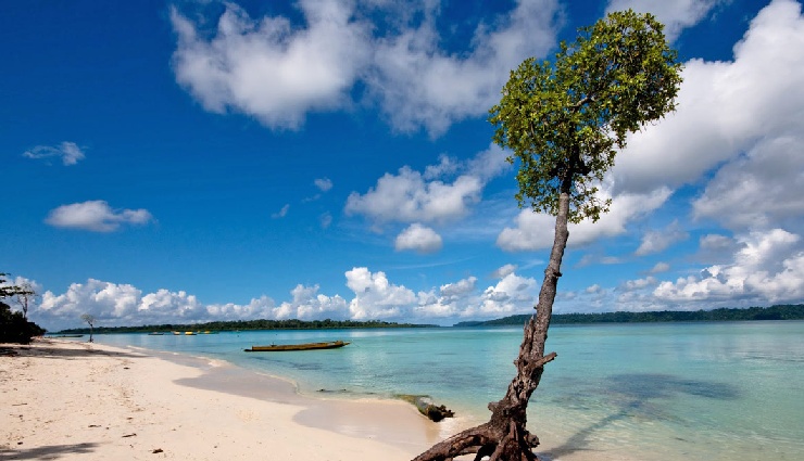 scuba diving in india,best scuba diving spots india,padi certified dive sites india,adventure sports india,diving vacations india,coral reef diving india,scuba diving bucket list,underwater adventure india,diving courses india,scuba diving destinations india,affordable scuba diving india