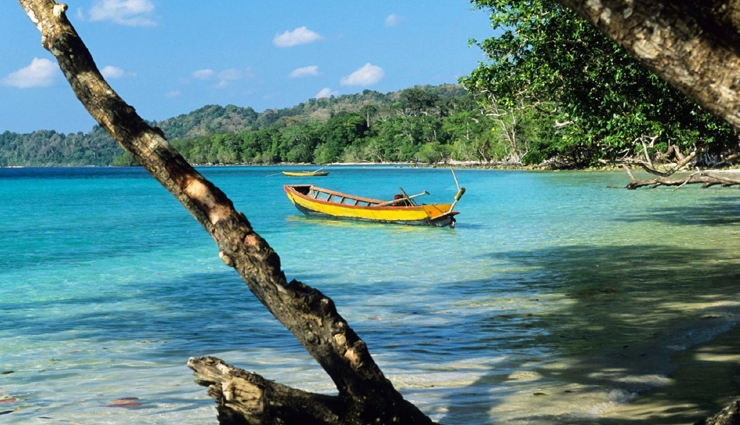 andaman scuba diving spots,best scuba diving locations in andaman,scuba diving experiences andaman,top dive sites in andaman,andaman underwater adventures,diving excursions andaman islands,andaman diving destinations,scuba diving tours andaman,explore underwater andaman,andaman diving tips