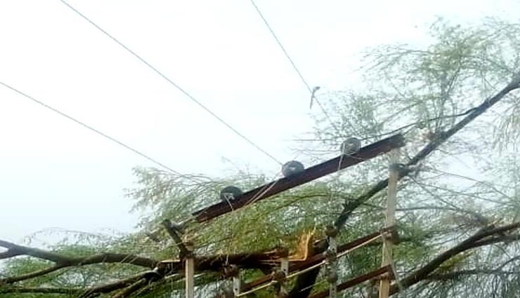दौसा : आंधी लेकर आई तबाही, 45 निजली के खंबे टूटने से गई 50 गांवों की बिजली, जड़ से उखड़े पेड़