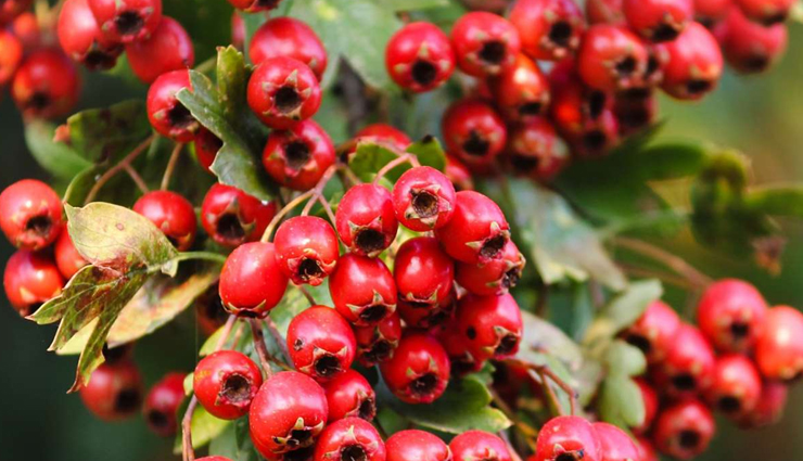 treat hearing loss at home,home remedies for hearing loss,natural treatments for hearing loss,improving hearing at home,diy methods for treating hearing loss,home-based solutions for hearing loss,hearing loss self-care techniques,enhancing hearing through home remedies,managing hearing loss with home treatments,home exercises for improving hearing,lifestyle changes for treating hearing loss