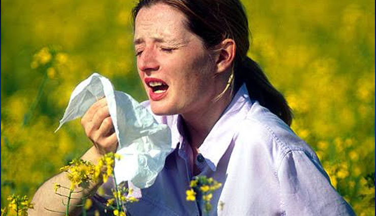 stinging nettle,stinging nettle good for health,nettle plant,nettle for health,arthritis and other joint pain,treats an enlarged prostate,cures hay fever,treats eczema,treats urinary tract infections,Health tips,simple health tips,healthy food