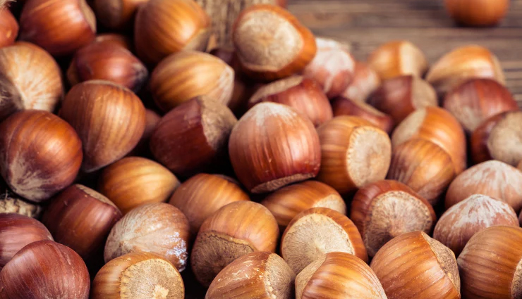 hazelnut health benefits,nutritious hazelnut diet,incredible hazelnut benefits,hazelnut nutrition facts,hazelnut recipes for a healthy diet,hazelnut superfood,benefits of eating hazelnuts,hazelnuts and heart health,hazelnuts for weight loss,hazelnuts and brain health,hazelnut dietary advantages,healthy hazelnut snacks,hazelnut vitamin content,antioxidants in hazelnuts,hazelnuts for cholesterol reduction,hazelnut protein benefits,how to include hazelnuts in your diet,hazelnuts and immune support,hazelnut fiber benefits,hazelnuts for digestive health,hazelnuts and skin health,hazelnut minerals and nutrients,hazelnut meal plan,hazelnuts and metabolic health,hazelnuts for energy boost,hazelnuts and bone health,hazelnut health advantages,hazelnut culinary uses,hazelnuts in balanced diet,hazelnut health effects