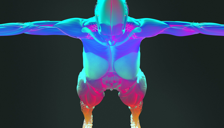 hazelnuts health benefits,benefits of eating hazelnuts,hazelnut nutrition benefits,health benefits of hazelnut nuts,amazing hazelnut health benefits,hazelnuts for health and wellness,nutritional value of hazelnuts,hazelnuts and their health advantages,hazelnut benefits for the body,why hazelnuts are healthy,antioxidants in hazelnuts,essential nutrients in hazelnuts,hazelnuts vitamin content,minerals in hazelnuts,hazelnuts dietary fiber,polyphenols in hazelnuts,heart health benefits of hazelnuts,brain-boosting hazelnut benefits,skin benefits of hazelnuts,hazelnuts and weight management