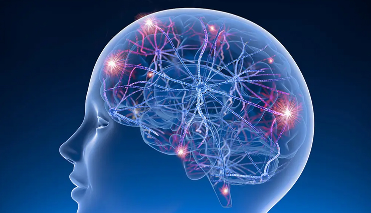 hazelnuts health benefits,benefits of eating hazelnuts,hazelnut nutrition benefits,health benefits of hazelnut nuts,amazing hazelnut health benefits,hazelnuts for health and wellness,nutritional value of hazelnuts,hazelnuts and their health advantages,hazelnut benefits for the body,why hazelnuts are healthy,antioxidants in hazelnuts,essential nutrients in hazelnuts,hazelnuts vitamin content,minerals in hazelnuts,hazelnuts dietary fiber,polyphenols in hazelnuts,heart health benefits of hazelnuts,brain-boosting hazelnut benefits,skin benefits of hazelnuts,hazelnuts and weight management