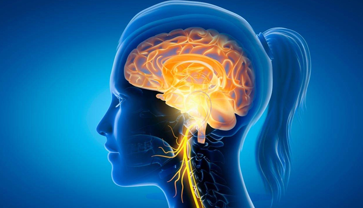 healthy food hazelnuts,Hazelnuts,health benefits of hazelnuts,Health tips,fitness tips,simple healthy tips