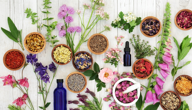 head lice,home remedies for head lice,hair care tips,beauty tip