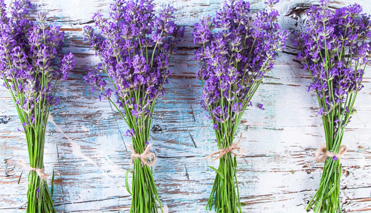 different ways to use tea tree oil,tea tree oil to get rid of head lice,head lice,hair care tips,beauty tips