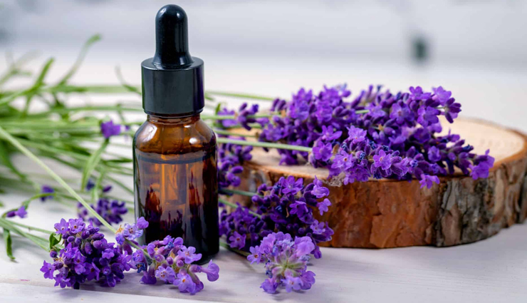 headache management oils,essential oils for tension headaches,aromatic remedies for headaches,essential oil blends for migraines,herbal essences for head pain relief,essential oil therapy for headaches,headache-reducing aromatic oils,essential oil stress relief for headaches,natural migraine relief oils,essential oil scalp massages for headaches