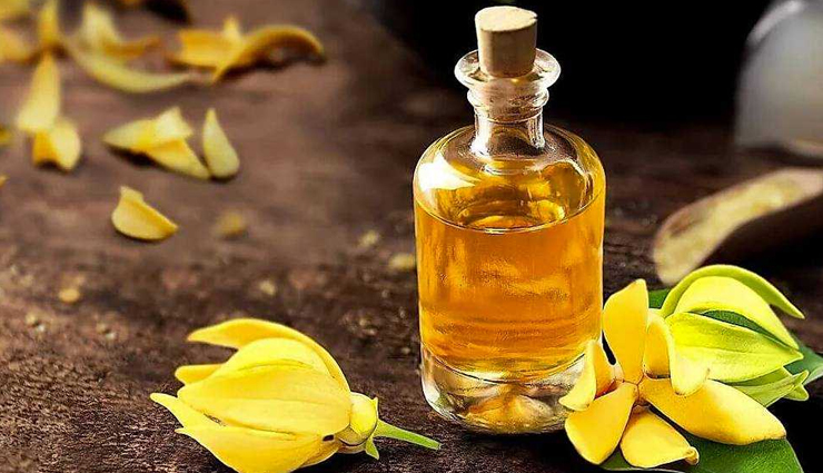 headache management oils,essential oils for tension headaches,aromatic remedies for headaches,essential oil blends for migraines,herbal essences for head pain relief,essential oil therapy for headaches,headache-reducing aromatic oils,essential oil stress relief for headaches,natural migraine relief oils,essential oil scalp massages for headaches