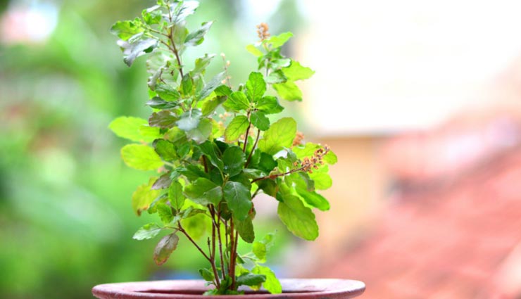 headache,home remedies for headache,natural tips for headache,Health tips,fitness tips