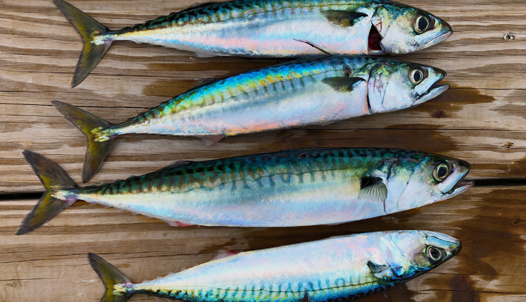 healthy food,Health tips,fitness tips,food for headache,headache tips,watermelon,spinach,yogurt,ginger,mackerel