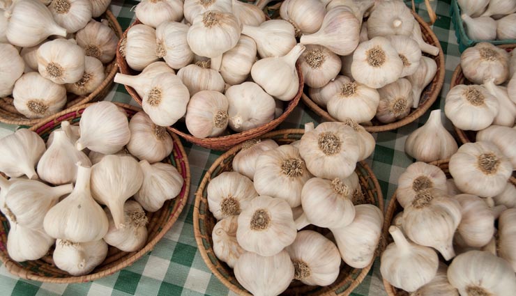 garlic benefits,garlic uses,Health tips,healthy living ,लहसुन