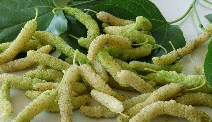 benefits of eating mulberry fruit,mulberry fruit benefits,health tips in hindi,eating mulberry fruit is good,health benefits of mulberry,mulbery benefits