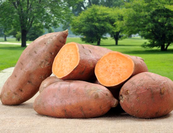 sweet potato,benefits of sweet potato,Health tips,healthy living