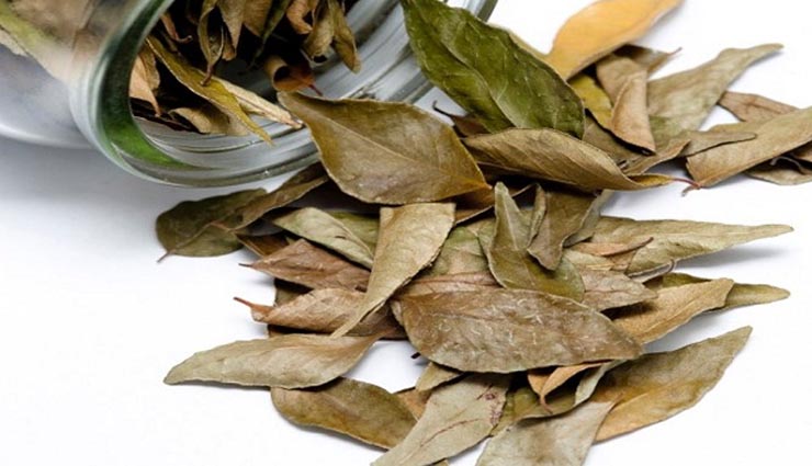 bay leaf,bay leaf benefits,bay leaf health benefits,health benefits,healthy living