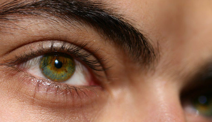 jackfruit health benefits,nutritional value of jackfruit,advantages of eating jackfruit,jackfruit benefits for health,how jackfruit promotes health,jackfruit and its medicinal properties,antioxidant benefits of jackfruit,jackfruit extract for health,benefits of consuming jackfruit regularly,jackfruit health benefits and uses,health benefits of jackfruit consumption,jackfruits role in promoting wellness,jackfruit for a healthy diet,jackfruits nutritional advantages,exploring the health advantages of jackfruit,incorporating jackfruit into a balanced diet,jackfruits contribution to overall health,the medicinal properties of jackfruit,harnessing the health benefits of jackfruit,jackfruits impact on well-being