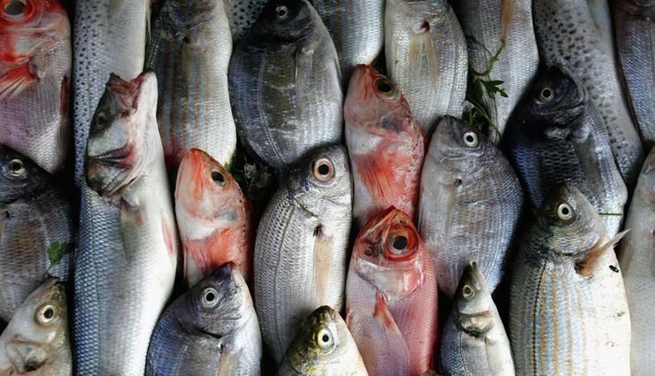 healthy fats,healthy fats to eat,Health tips,fitness tips