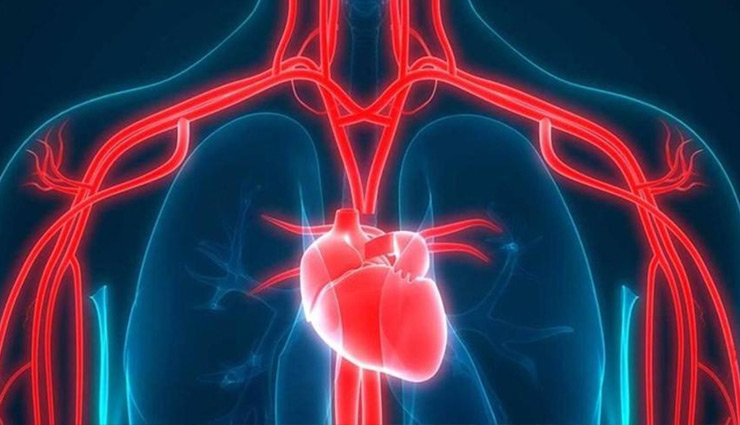 walking,health benefits of walking,walking benefits,longevity,long life,premature death risk,health and fitness,life expectancy,healthy lifestyle