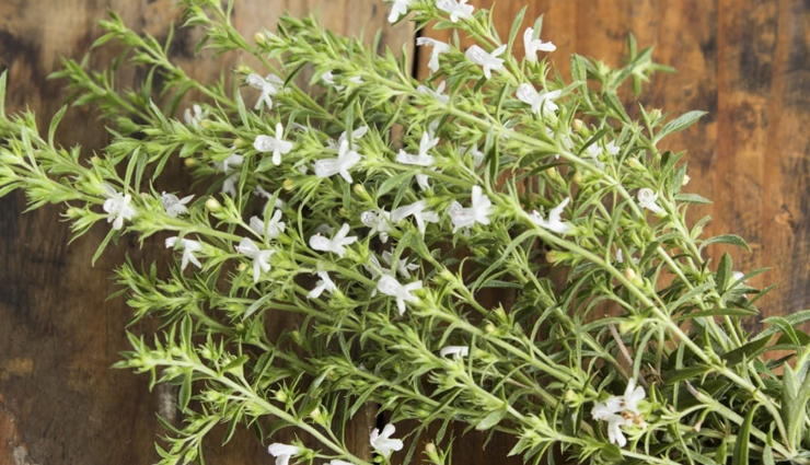 healthy herbs,least known healthy herbs,Health tips,fitness tips