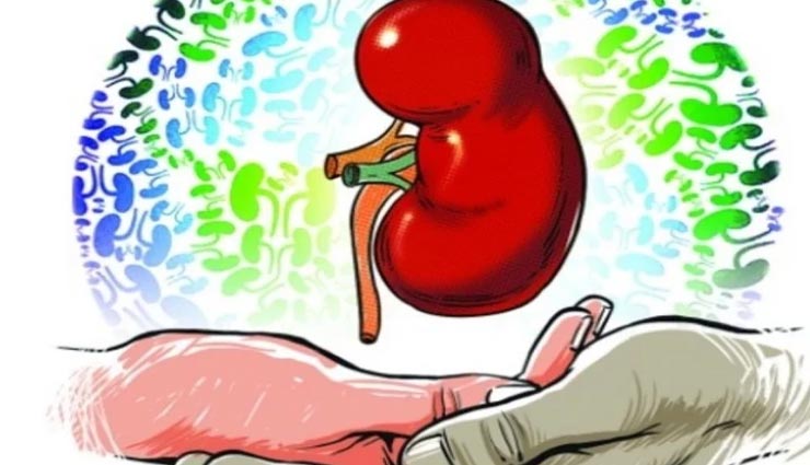 कहीं आपकी किडनी तो नहीं हो रही खराब, इन लक्षणों से लगाए इसका पता