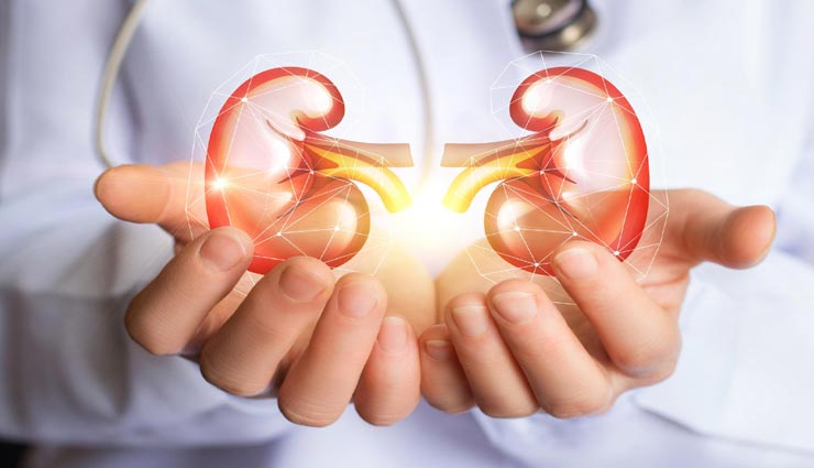 इन 5 चीजों के सेवन से आपकी किडनी बनेगी स्वस्थ