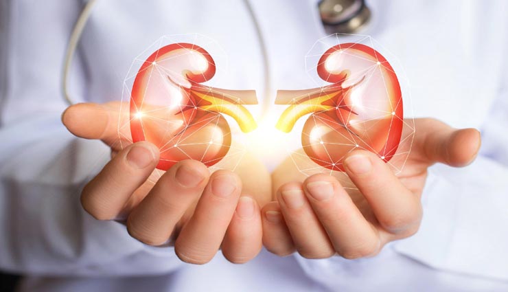 अपनी आदतों में इन बदलाव के साथ किडनी को बनाए सेहतमंद, जानें और रहें स्वस्थ