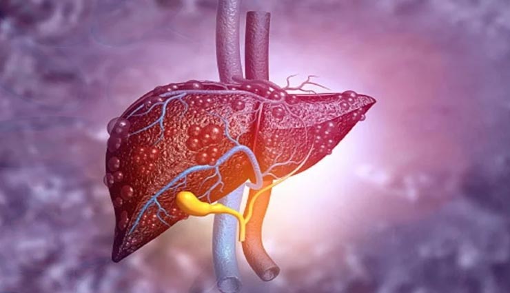 खानपान में शामिल करें ये 5 आहार, विषैले पदार्थों को बाहर निकाल होगी लिवर की सफाई